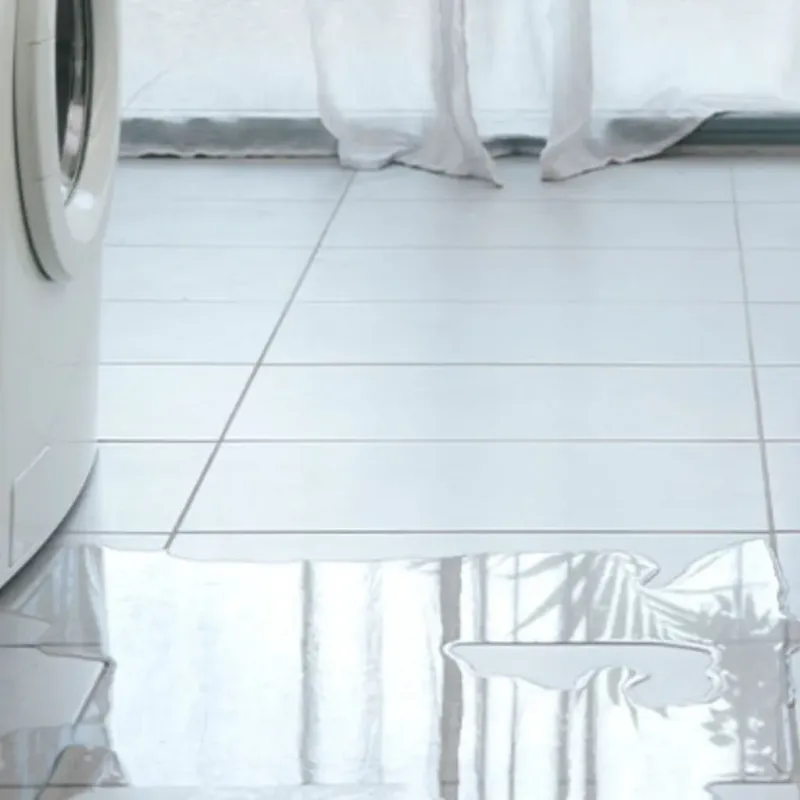 Appliance Leak Cleanup in Concord, WI