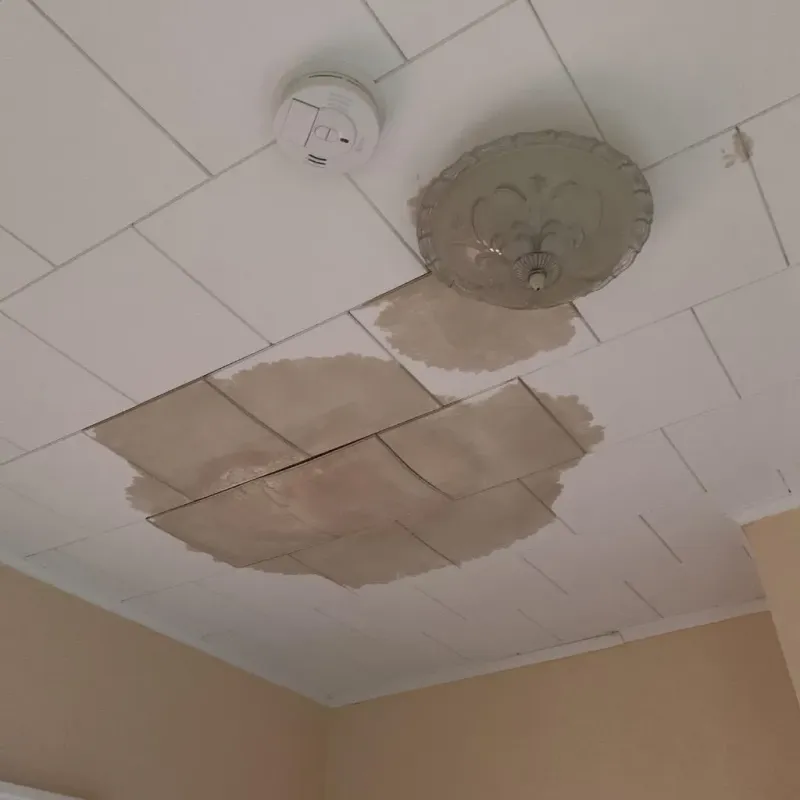 Ceiling Water Damage Repair in Concord, WI