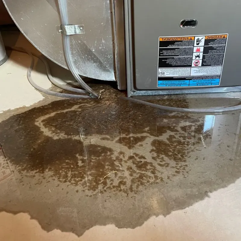 Pipe Burst and Leak Restoration in Concord, WI