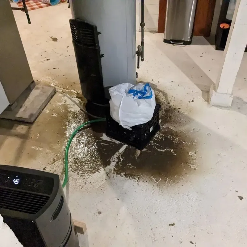Sewage Backup Cleanup Service in Concord, WI